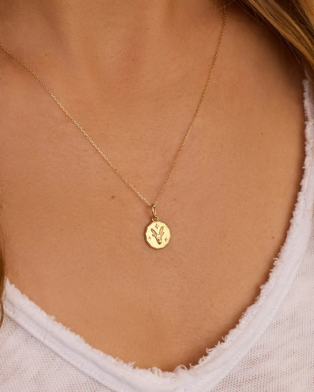 Cadena y Dije Capricornio