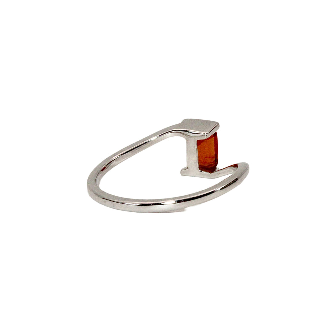 Anillo Puente